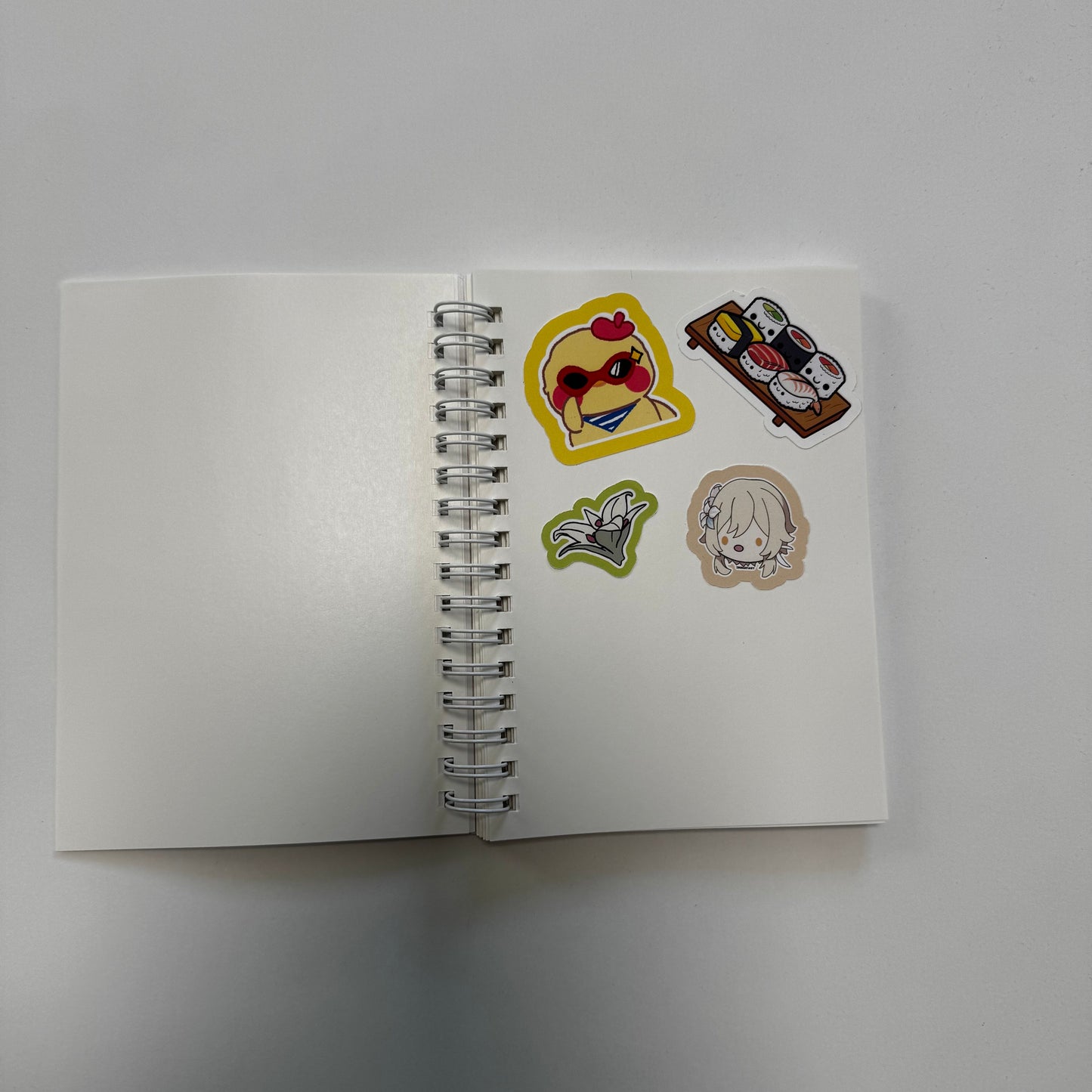 Reusable Sticker Book