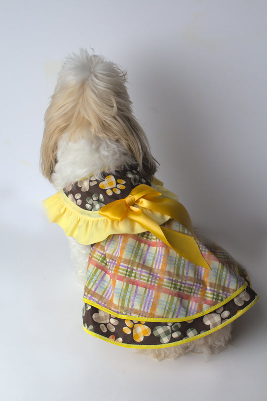 Small Dog - Dress Paw Print