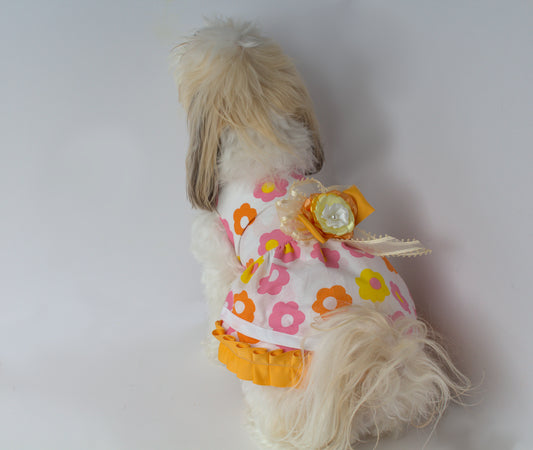 Small Dog - Dress - Sundress