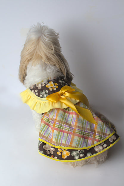Small Dog - Dress Paw Print